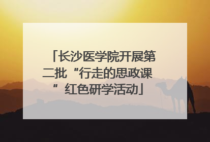 长沙医学院开展第二批“行走的思政课”红色研学活动