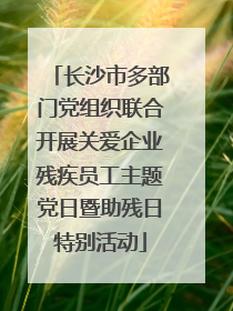 长沙市多部门党组织联合开展关爱企业残疾员工主题党日暨助残日特别活动
