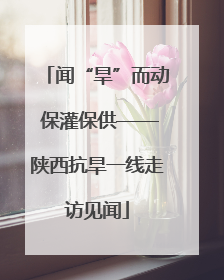 闻“旱”而动 保灌保供——陕西抗旱一线走访见闻