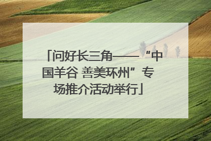 问好长三角——“中国羊谷 善美环州”专场推介活动举行