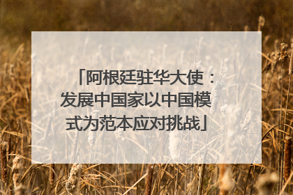 阿根廷驻华大使：发展中国家以中国模式为范本应对挑战