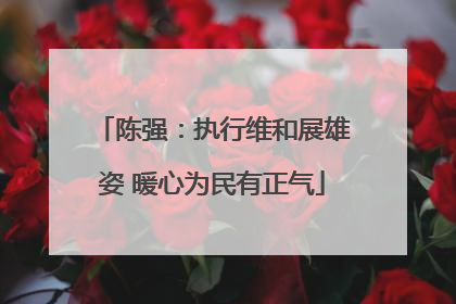 陈强：执行维和展雄姿 暖心为民有正气
