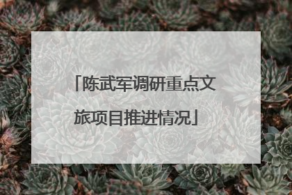 陈武军调研重点文旅项目推进情况