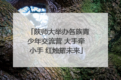 陕师大举办各族青少年交流营 大手牵小手 红烛耀未来