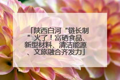 陕西白河“链长制”火了！富硒食品、新型材料、清洁能源、文旅融合齐发力