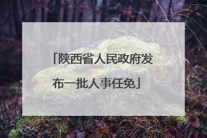 陕西省人民政府发布一批人事任免
