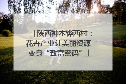 陕西神木铧西村：花卉产业让美丽资源变身“致富密码”