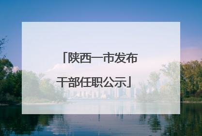 陕西一市发布干部任职公示