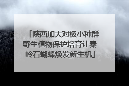 陕西加大对极小种群野生植物保护培育让秦岭石蝴蝶焕发新生机