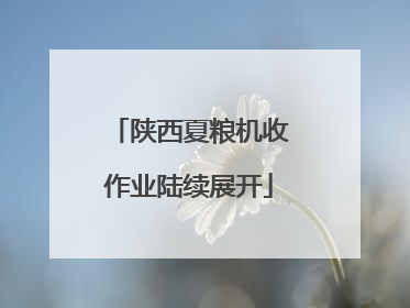 陕西夏粮机收作业陆续展开