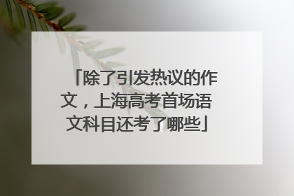 除了引发热议的作文，上海高考首场语文科目还考了哪些