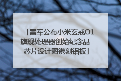 雷军公布小米玄戒O1旗舰处理器创始纪念品 芯片设计图镌刻铝板