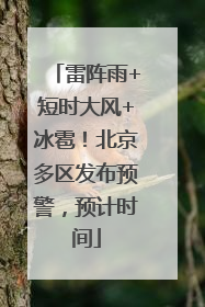 雷阵雨+短时大风+冰雹！北京多区发布预警，预计时间