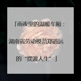 雨夜里的温暖车厢：湖南省劳动模范郑道远的“摆渡人生”