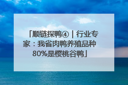 顺链探鸭④｜行业专家：我省肉鸭养殖品种80%是樱桃谷鸭