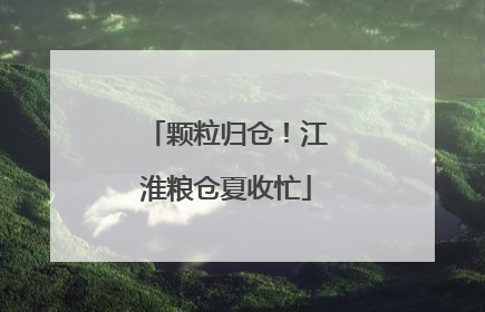 颗粒归仓！江淮粮仓夏收忙