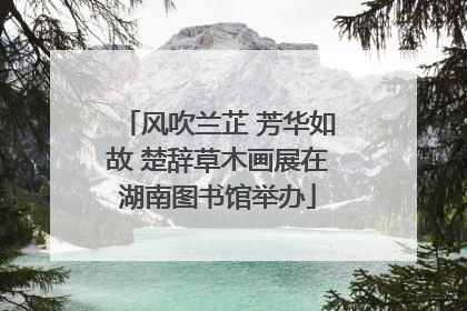 风吹兰芷 芳华如故 楚辞草木画展在湖南图书馆举办