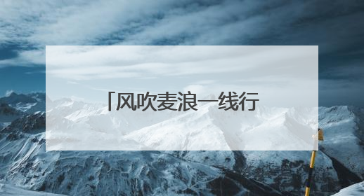 风吹麦浪一线行｜衡水冀州：开镰！科学种植 奏响丰收序曲