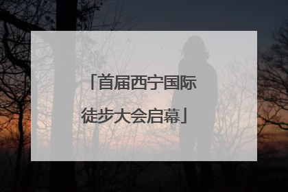 首届西宁国际徒步大会启幕
