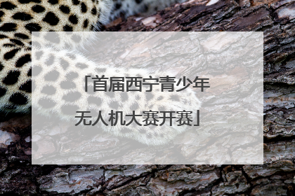 首届西宁青少年无人机大赛开赛