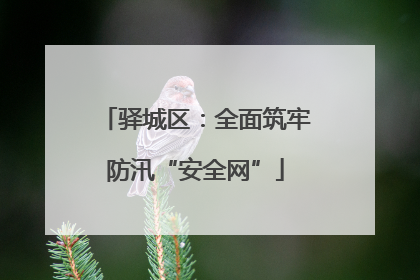 驿城区：全面筑牢防汛“安全网”