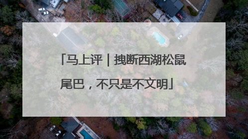 马上评｜拽断西湖松鼠尾巴，不只是不文明