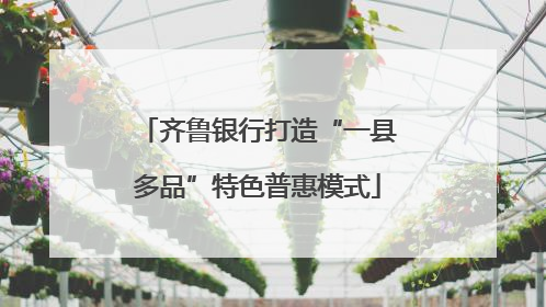 齐鲁银行打造“一县多品”特色普惠模式