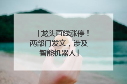 龙头直线涨停！两部门发文，涉及智能机器人