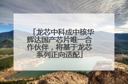 龙芯中科成中核华辉达国产芯片唯一合作伙伴，将基于龙芯系列正向适配