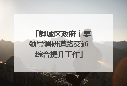 鲤城区政府主要领导调研道路交通综合提升工作
