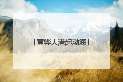 黄骅大港起渤海