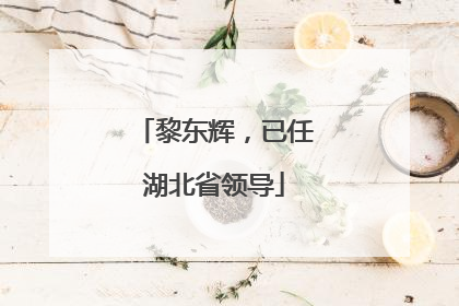 黎东辉，已任湖北省领导