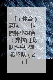 （体育）足球——世俱杯小组赛：弗拉门戈队胜突尼斯希望队（2）