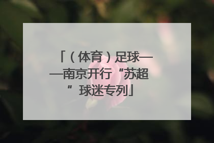 （体育）足球——南京开行“苏超”球迷专列