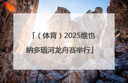 （体育）2025维也纳多瑙河龙舟赛举行