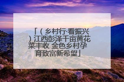 （乡村行·看振兴）江西彭泽千亩黄花菜丰收 金色乡村孕育致富新希望