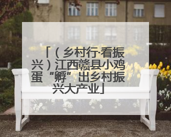 （乡村行·看振兴）江西赣县小鸡蛋“孵”出乡村振兴大产业