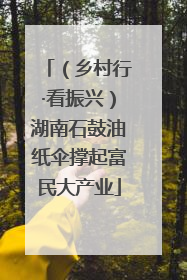 （乡村行·看振兴）湖南石鼓油纸伞撑起富民大产业