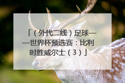 （外代二线）足球——世界杯预选赛：比利时胜威尔士（3）