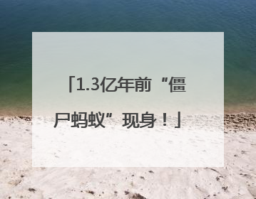 1.3亿年前“僵尸蚂蚁”现身！