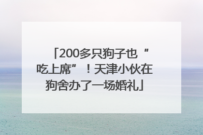 200多只狗子也“吃上席”！天津小伙在狗舍办了一场婚礼