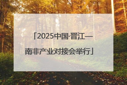 2025中国·晋江—南非产业对接会举行