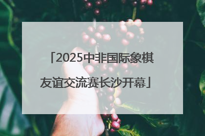 2025中非国际象棋友谊交流赛长沙开幕