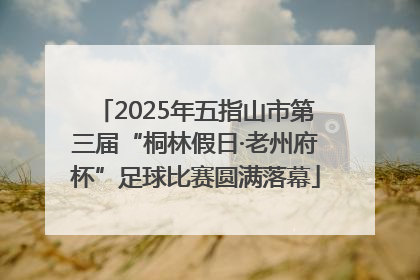 2025年五指山市第三届“桐林假日·老州府杯”足球比赛圆满落幕