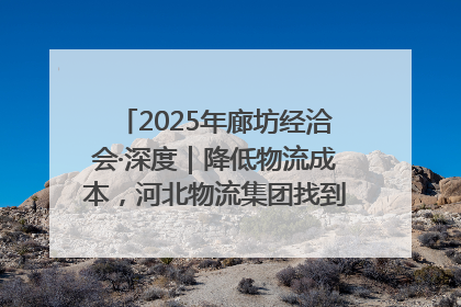 2025年廊坊经洽会·深度｜降低物流成本，河北物流集团找到一把“金钥匙”