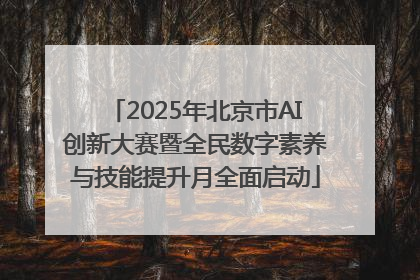 2025年北京市AI创新大赛暨全民数字素养与技能提升月全面启动