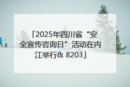 2025年四川省“安全宣传咨询日”活动在内江举行& 8203
