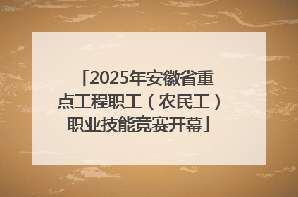 2025年安徽省重点工程职工（农民工）职业技能竞赛开幕