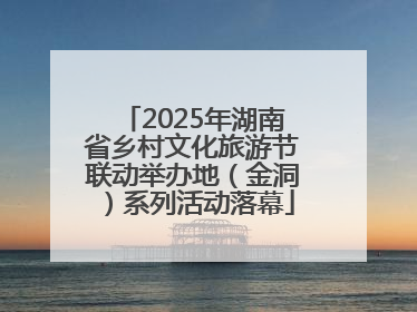2025年湖南省乡村文化旅游节联动举办地（金洞）系列活动落幕