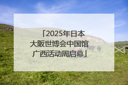 2025年日本大阪世博会中国馆广西活动周启幕